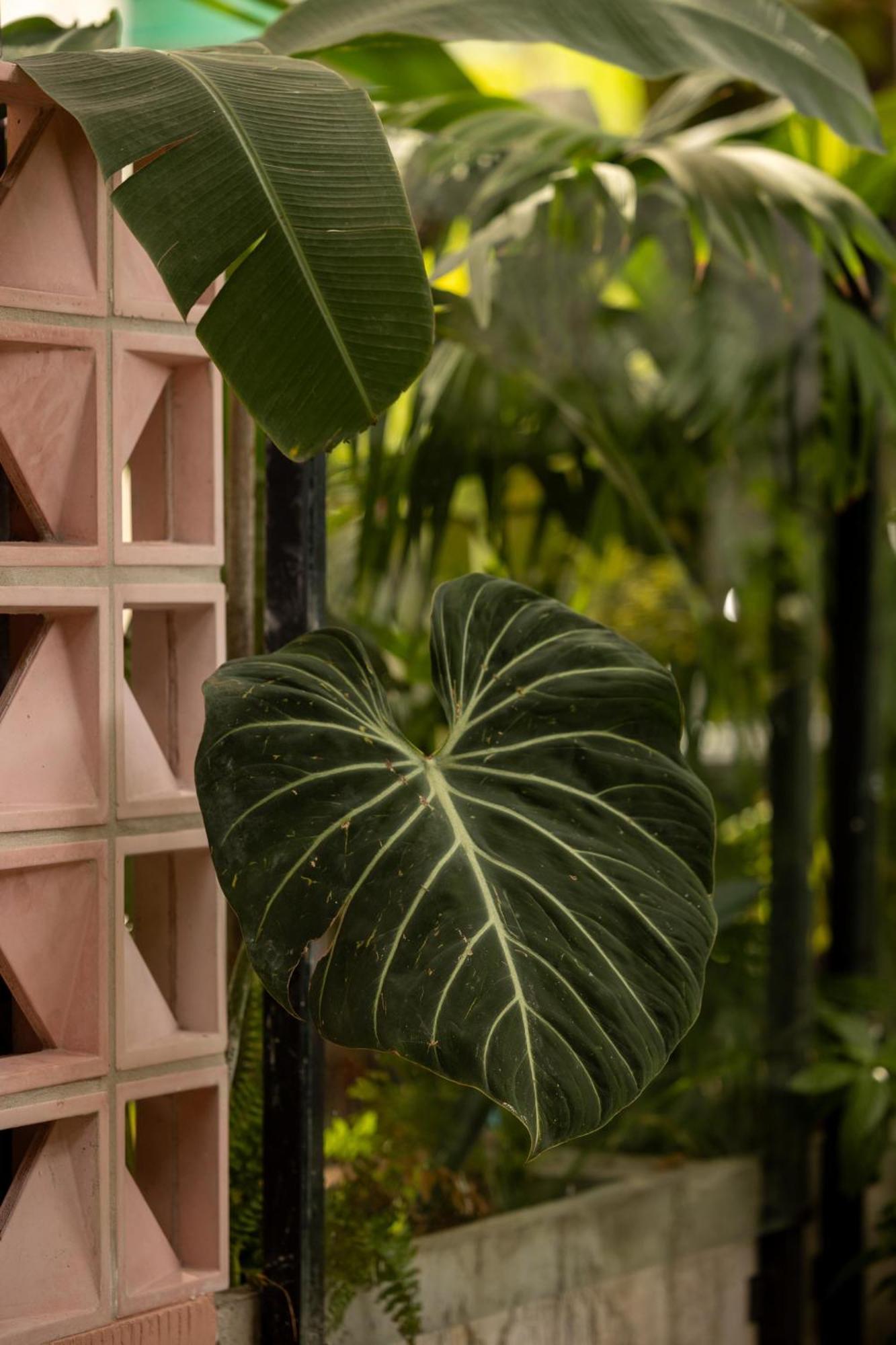 Sui Boutique Hotel Medellín Exteriör bild